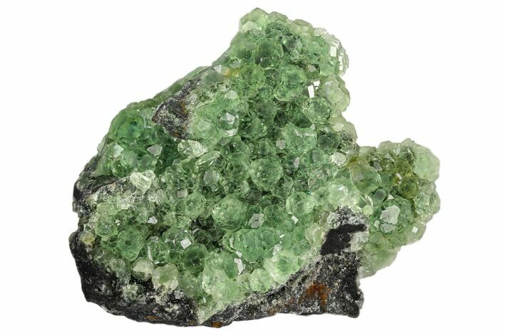Green Fluorite on Sparkling Quartz - China #125169